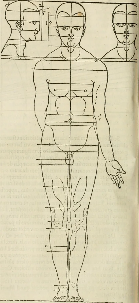 An illustration from Alberti Dvreri clarissimi pictoris et geometrae De symmetria partium humanorum corporum libri quatuor : è germanica lingua in latinam versi, 1557, leaf 155