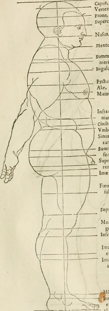 An illustration from Alberti Dvreri clarissimi pictoris et geometrae De symmetria partium humanorum corporum libri quatuor : è germanica lingua in latinam versi, 1557, leaf 157