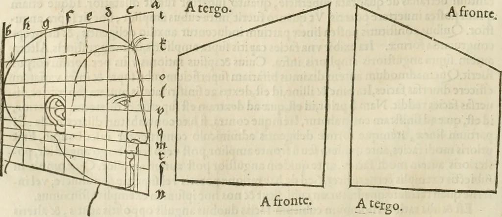 An illustration from Alberti Dvreri clarissimi pictoris et geometrae De symmetria partium humanorum corporum libri quatuor : è germanica lingua in latinam versi, 1557, leaf 163