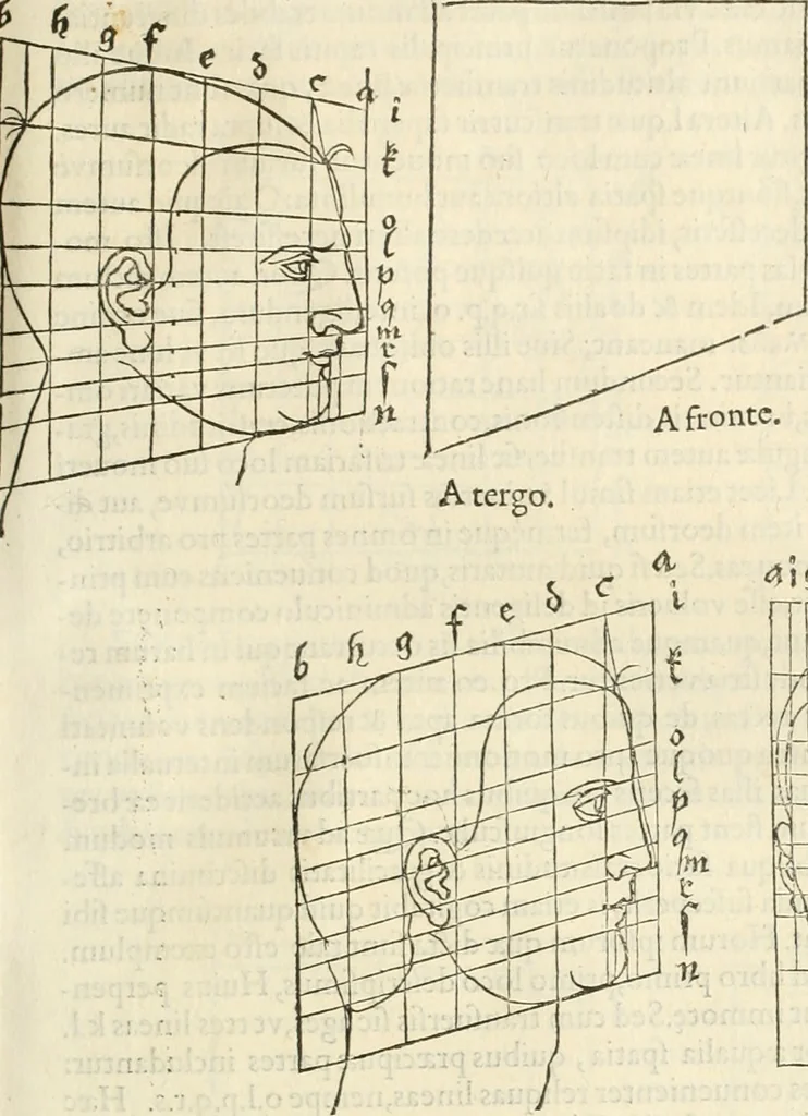 An illustration from Alberti Dvreri clarissimi pictoris et geometrae De symmetria partium humanorum corporum libri quatuor : è germanica lingua in latinam versi, 1557, leaf 164