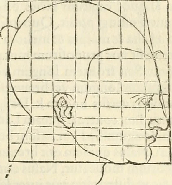 An illustration from Alberti Dvreri clarissimi pictoris et geometrae De symmetria partium humanorum corporum libri quatuor : è germanica lingua in latinam versi, 1557, leaf 166