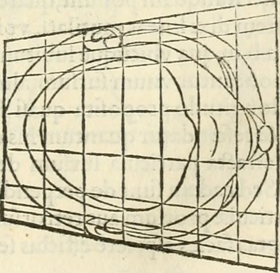 An illustration from Alberti Dvreri clarissimi pictoris et geometrae De symmetria partium humanorum corporum libri quatuor : è germanica lingua in latinam versi, 1557, leaf 166