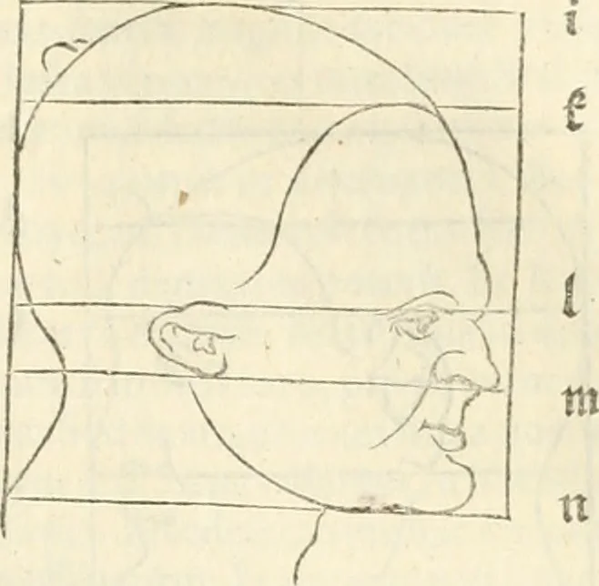 An illustration from Alberti Dvreri clarissimi pictoris et geometrae De symmetria partium humanorum corporum libri quatuor : è germanica lingua in latinam versi, 1557, leaf 168