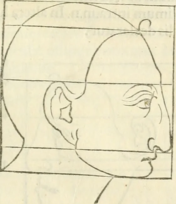 An illustration from Alberti Dvreri clarissimi pictoris et geometrae De symmetria partium humanorum corporum libri quatuor : è germanica lingua in latinam versi, 1557, leaf 168