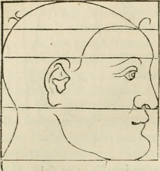 An illustration from Alberti Dvreri clarissimi pictoris et geometrae De symmetria partium humanorum corporum libri quatuor : è germanica lingua in latinam versi, 1557, leaf 169