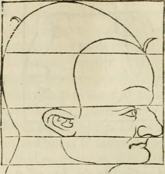 An illustration from Alberti Dvreri clarissimi pictoris et geometrae De symmetria partium humanorum corporum libri quatuor : è germanica lingua in latinam versi, 1557, leaf 169