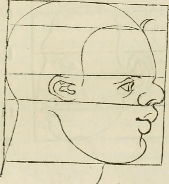 An illustration from Alberti Dvreri clarissimi pictoris et geometrae De symmetria partium humanorum corporum libri quatuor : è germanica lingua in latinam versi, 1557, leaf 169