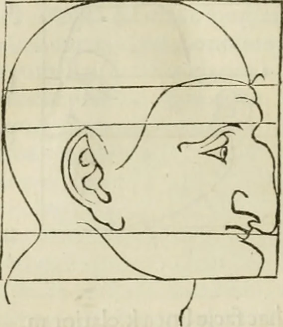 An illustration from Alberti Dvreri clarissimi pictoris et geometrae De symmetria partium humanorum corporum libri quatuor : è germanica lingua in latinam versi, 1557, leaf 169
