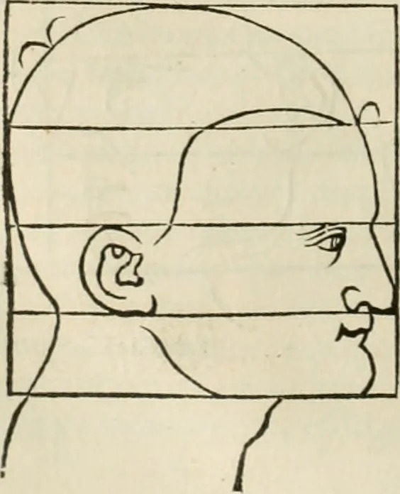 An illustration from Alberti Dvreri clarissimi pictoris et geometrae De symmetria partium humanorum corporum libri quatuor : è germanica lingua in latinam versi, 1557, leaf 169