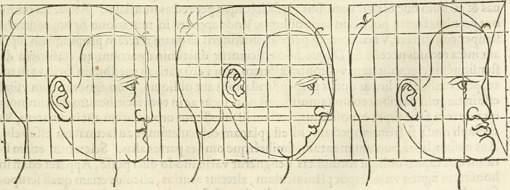 An illustration from Alberti Dvreri clarissimi pictoris et geometrae De symmetria partium humanorum corporum libri quatuor : è germanica lingua in latinam versi, 1557, leaf 170