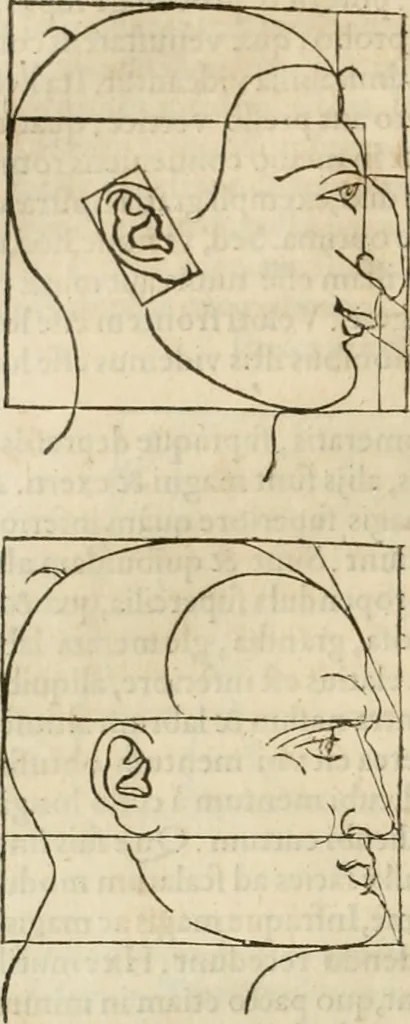 An illustration from Alberti Dvreri clarissimi pictoris et geometrae De symmetria partium humanorum corporum libri quatuor : è germanica lingua in latinam versi, 1557, leaf 173