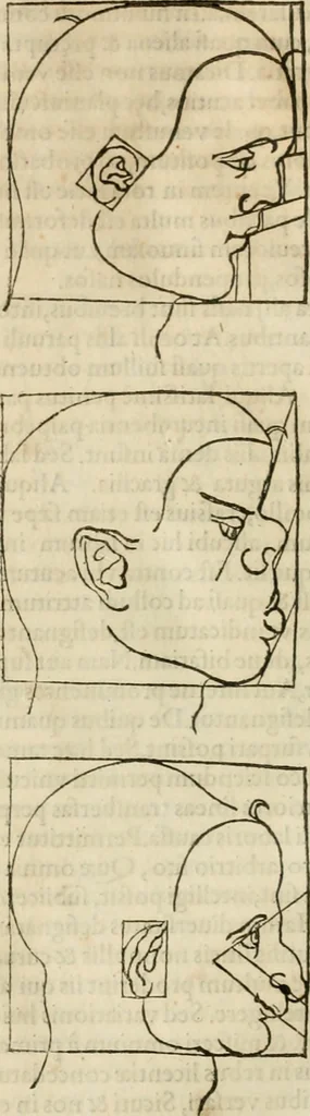An illustration from Alberti Dvreri clarissimi pictoris et geometrae De symmetria partium humanorum corporum libri quatuor : è germanica lingua in latinam versi, 1557, leaf 173