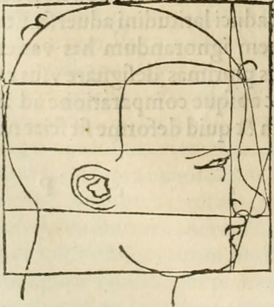 An illustration from Alberti Dvreri clarissimi pictoris et geometrae De symmetria partium humanorum corporum libri quatuor : è germanica lingua in latinam versi, 1557, leaf 173