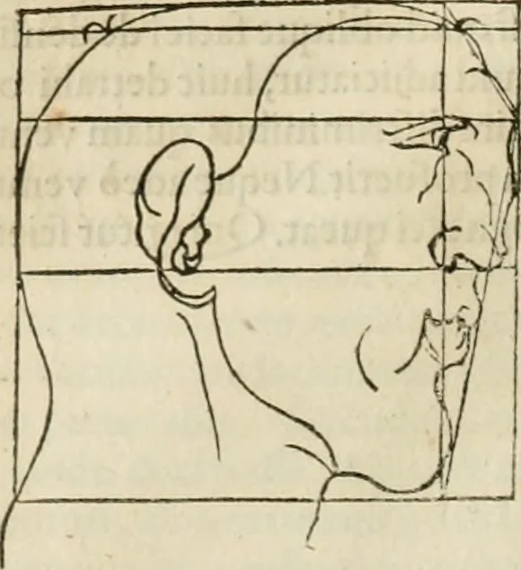 An illustration from Alberti Dvreri clarissimi pictoris et geometrae De symmetria partium humanorum corporum libri quatuor : è germanica lingua in latinam versi, 1557, leaf 173