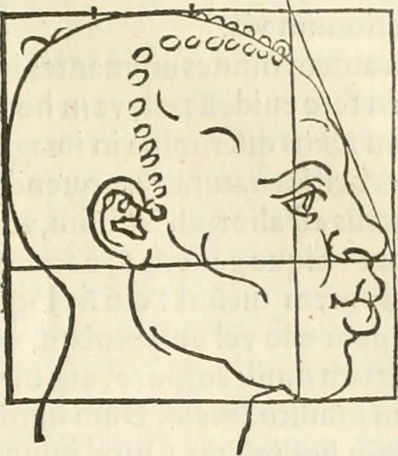 An illustration from Alberti Dvreri clarissimi pictoris et geometrae De symmetria partium humanorum corporum libri quatuor : è germanica lingua in latinam versi, 1557, leaf 174