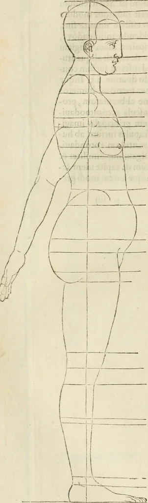An illustration from Alberti Dvreri clarissimi pictoris et geometrae De symmetria partium humanorum corporum libri quatuor : è germanica lingua in latinam versi, 1557, leaf 179