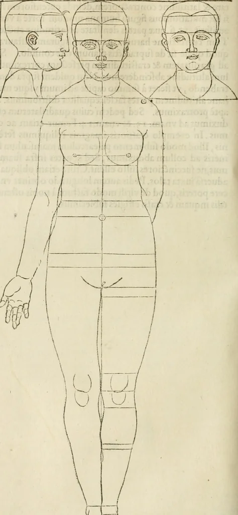 An illustration from Alberti Dvreri clarissimi pictoris et geometrae De symmetria partium humanorum corporum libri quatuor : è germanica lingua in latinam versi, 1557, leaf 179