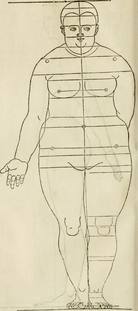 An illustration from Alberti Dvreri clarissimi pictoris et geometrae De symmetria partium humanorum corporum libri quatuor : è germanica lingua in latinam versi, 1557, leaf 181