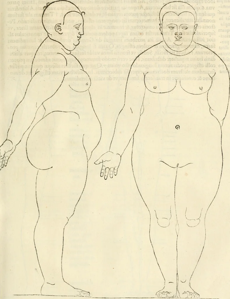 An illustration from Alberti Dvreri clarissimi pictoris et geometrae De symmetria partium humanorum corporum libri quatuor : è germanica lingua in latinam versi, 1557, leaf 182