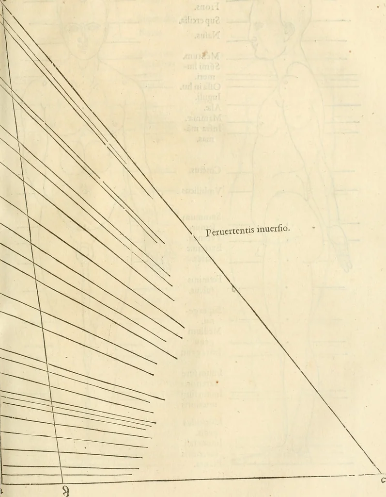 An illustration from Alberti Dvreri clarissimi pictoris et geometrae De symmetria partium humanorum corporum libri quatuor : è germanica lingua in latinam versi, 1557, leaf 190