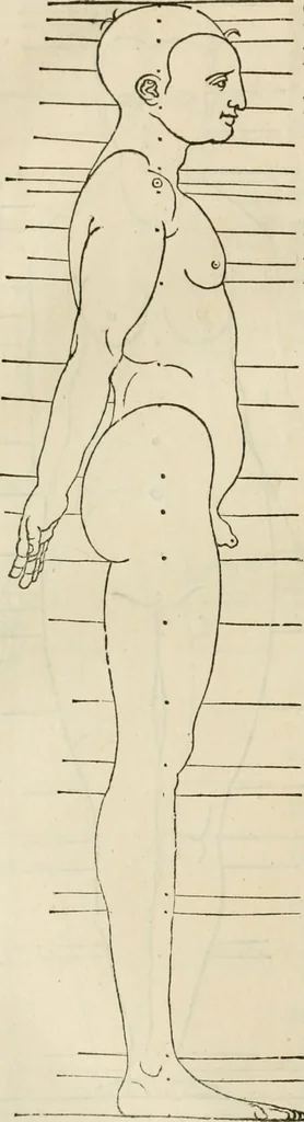 An illustration from Alberti Dvreri clarissimi pictoris et geometrae De symmetria partium humanorum corporum libri quatuor : è germanica lingua in latinam versi, 1557, leaf 193