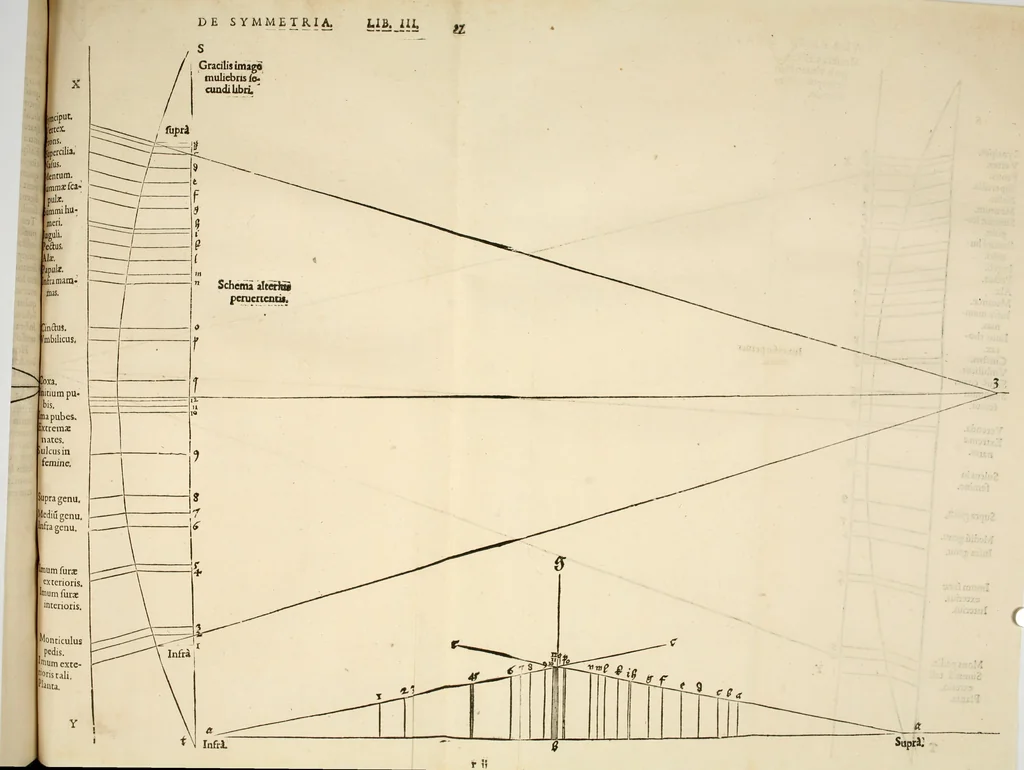An illustration from Alberti Dvreri clarissimi pictoris et geometrae De symmetria partium humanorum corporum libri quatuor : è germanica lingua in latinam versi, 1557, leaf 198