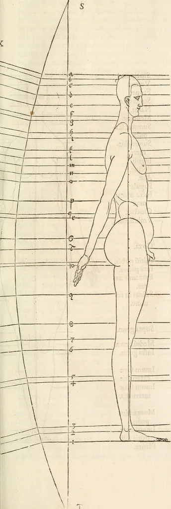 An illustration from Alberti Dvreri clarissimi pictoris et geometrae De symmetria partium humanorum corporum libri quatuor : è germanica lingua in latinam versi, 1557, leaf 200