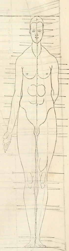 An illustration from Alberti Dvreri clarissimi pictoris et geometrae De symmetria partium humanorum corporum libri quatuor : è germanica lingua in latinam versi, 1557, leaf 200