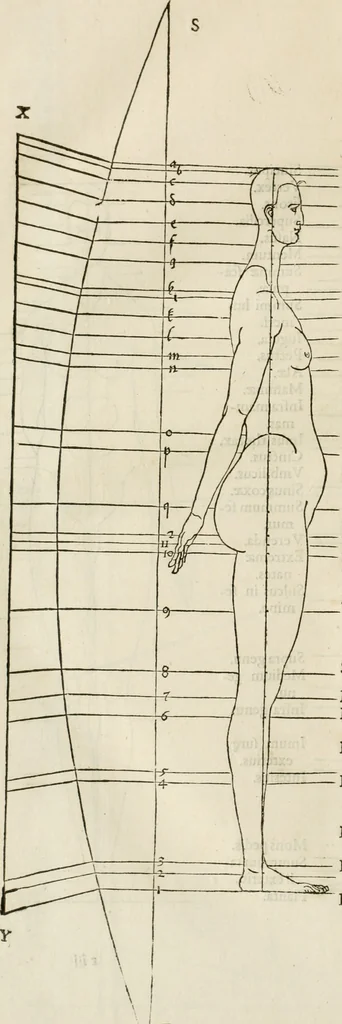 An illustration from Alberti Dvreri clarissimi pictoris et geometrae De symmetria partium humanorum corporum libri quatuor : è germanica lingua in latinam versi, 1557, leaf 201