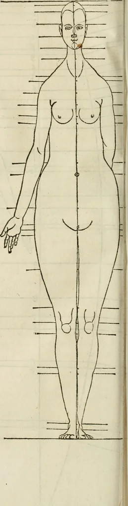 An illustration from Alberti Dvreri clarissimi pictoris et geometrae De symmetria partium humanorum corporum libri quatuor : è germanica lingua in latinam versi, 1557, leaf 201