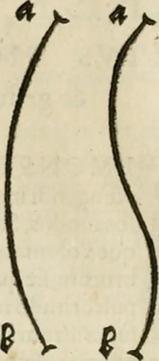 An illustration from Alberti Dvreri clarissimi pictoris et geometrae De symmetria partium humanorum corporum libri quatuor : è germanica lingua in latinam versi, 1557, leaf 209