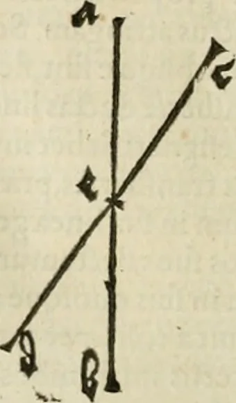 An illustration from Alberti Dvreri clarissimi pictoris et geometrae De symmetria partium humanorum corporum libri quatuor : è germanica lingua in latinam versi, 1557, leaf 209