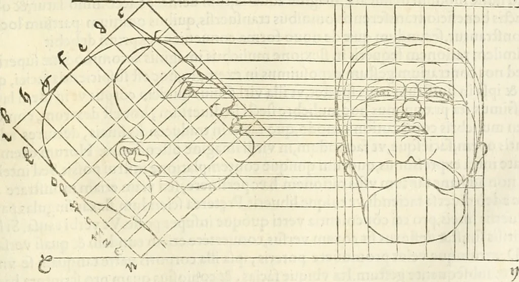 An illustration from Alberti Dvreri clarissimi pictoris et geometrae De symmetria partium humanorum corporum libri quatuor : è germanica lingua in latinam versi, 1557, leaf 212