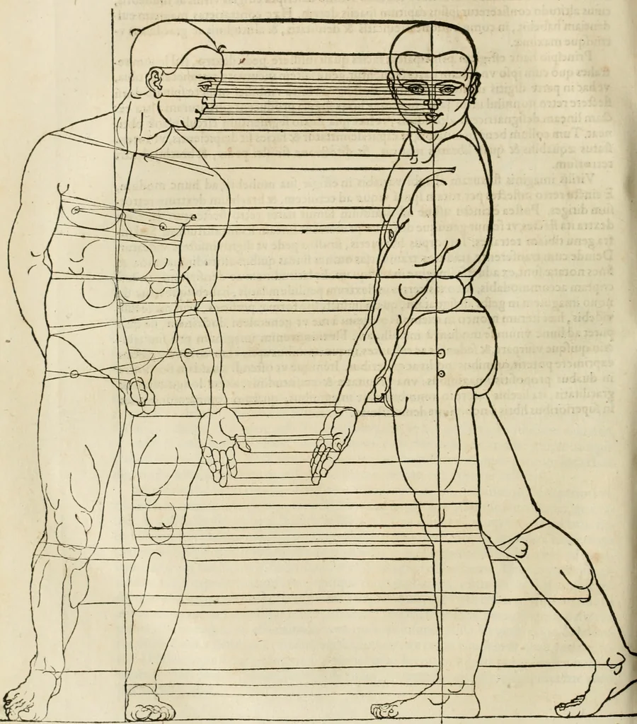 An illustration from Alberti Dvreri clarissimi pictoris et geometrae De symmetria partium humanorum corporum libri quatuor : è germanica lingua in latinam versi, 1557, leaf 215