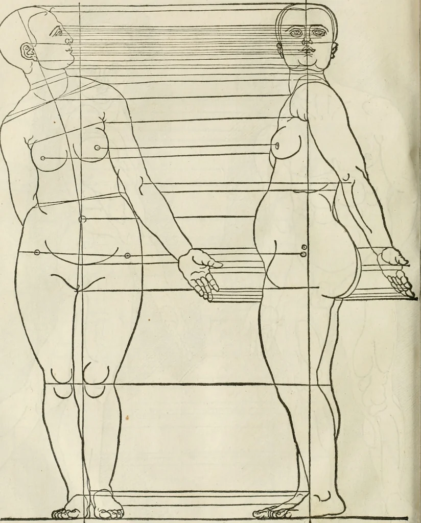 An illustration from Alberti Dvreri clarissimi pictoris et geometrae De symmetria partium humanorum corporum libri quatuor : è germanica lingua in latinam versi, 1557, leaf 217