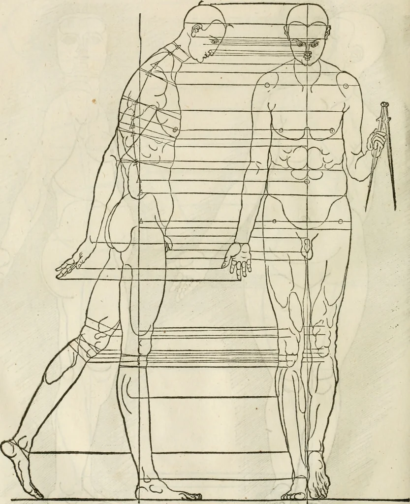An illustration from Alberti Dvreri clarissimi pictoris et geometrae De symmetria partium humanorum corporum libri quatuor : è germanica lingua in latinam versi, 1557, leaf 219