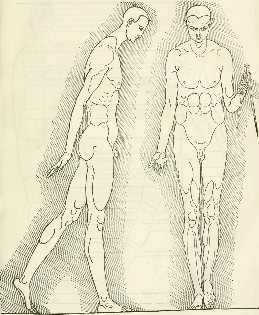 An illustration from Alberti Dvreri clarissimi pictoris et geometrae De symmetria partium humanorum corporum libri quatuor : è germanica lingua in latinam versi, 1557, leaf 220