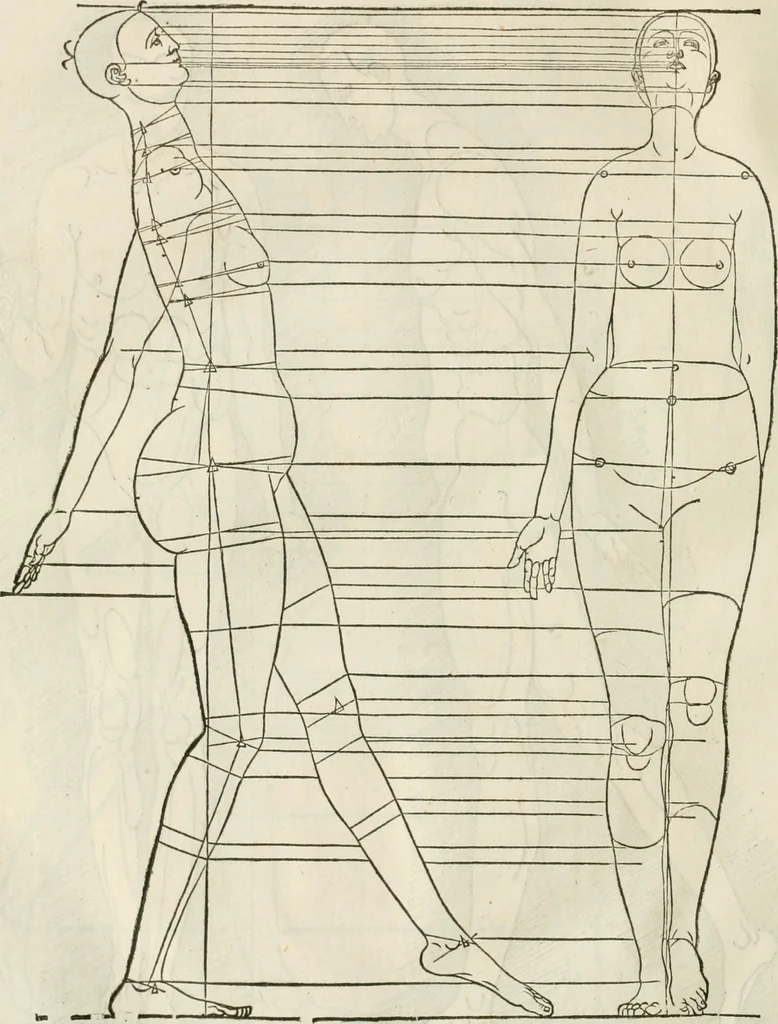 An illustration from Alberti Dvreri clarissimi pictoris et geometrae De symmetria partium humanorum corporum libri quatuor : è germanica lingua in latinam versi, 1557, leaf 221