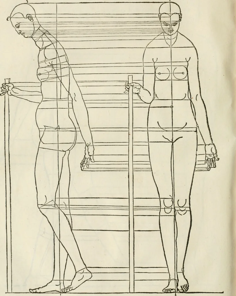 An illustration from Alberti Dvreri clarissimi pictoris et geometrae De symmetria partium humanorum corporum libri quatuor : è germanica lingua in latinam versi, 1557, leaf 223