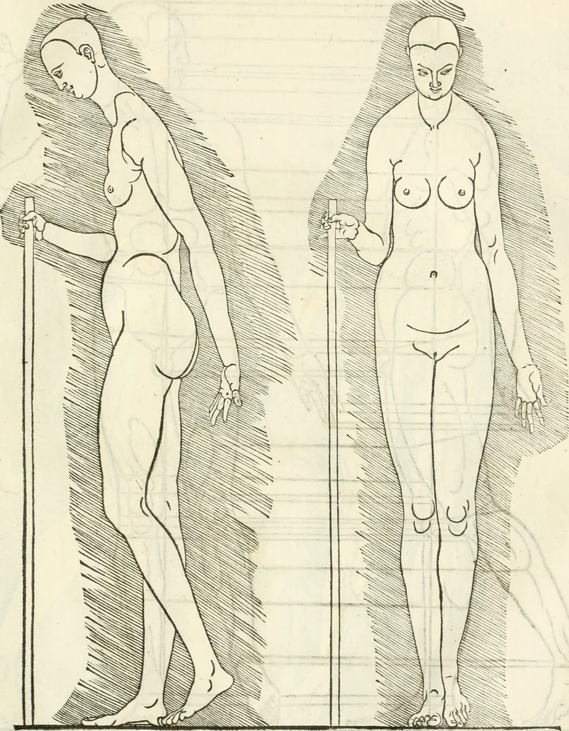 An illustration from Alberti Dvreri clarissimi pictoris et geometrae De symmetria partium humanorum corporum libri quatuor : è germanica lingua in latinam versi, 1557, leaf 224