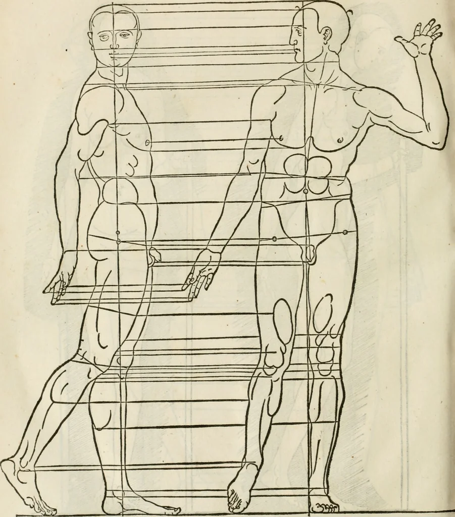 An illustration from Alberti Dvreri clarissimi pictoris et geometrae De symmetria partium humanorum corporum libri quatuor : è germanica lingua in latinam versi, 1557, leaf 225