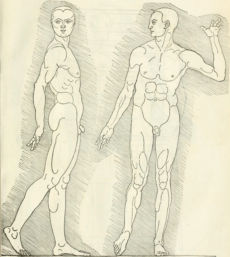 An illustration from Alberti Dvreri clarissimi pictoris et geometrae De symmetria partium humanorum corporum libri quatuor : è germanica lingua in latinam versi, 1557, leaf 226