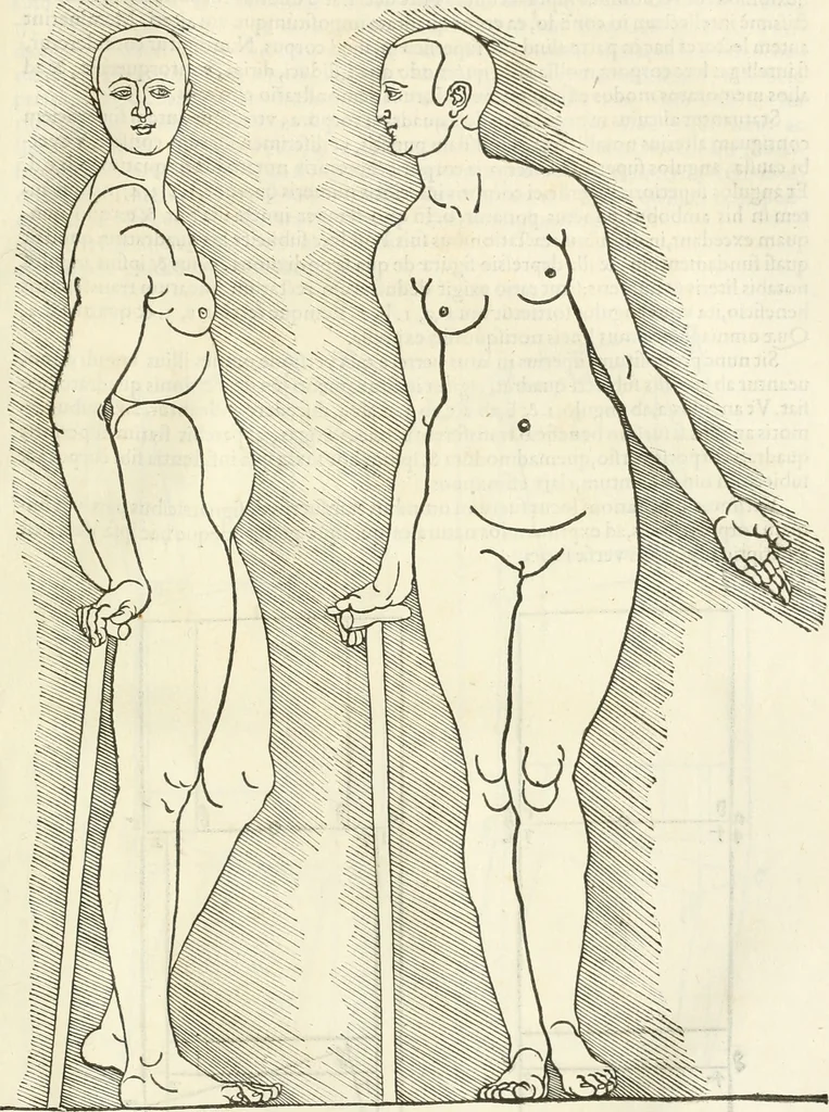 An illustration from Alberti Dvreri clarissimi pictoris et geometrae De symmetria partium humanorum corporum libri quatuor : è germanica lingua in latinam versi, 1557, leaf 228