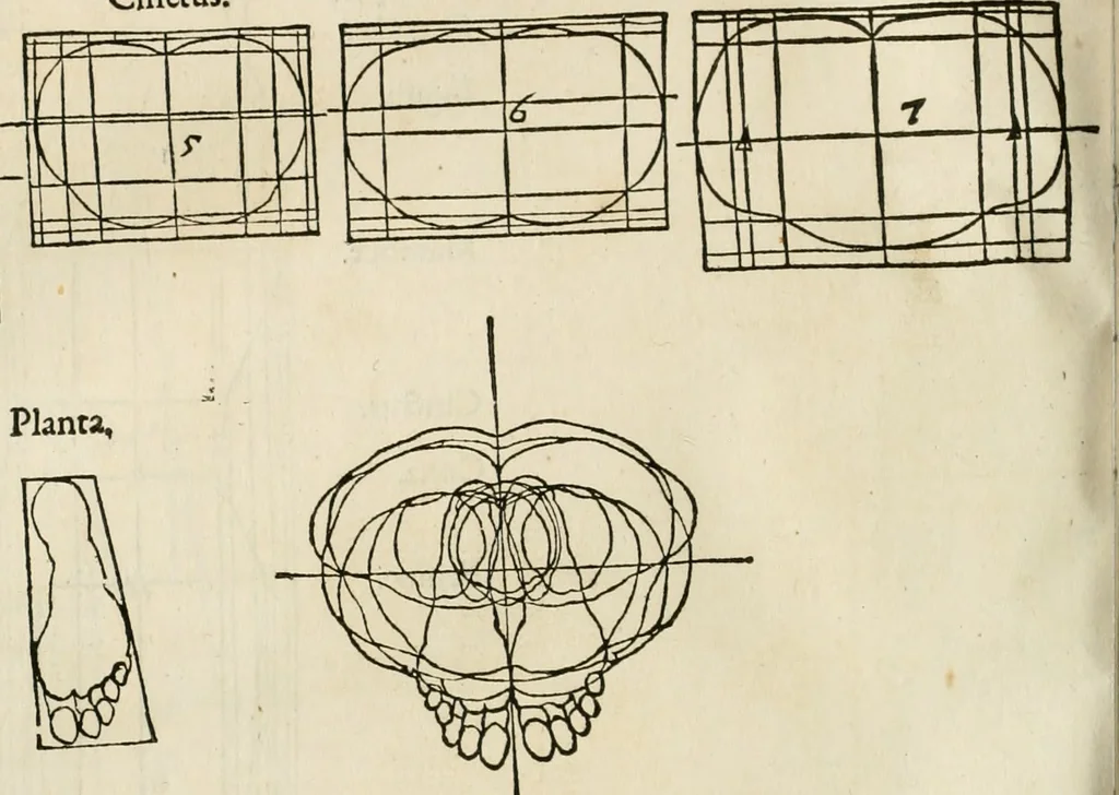 An illustration from Alberti Dvreri clarissimi pictoris et geometrae De symmetria partium humanorum corporum libri quatuor : è germanica lingua in latinam versi, 1557, leaf 235