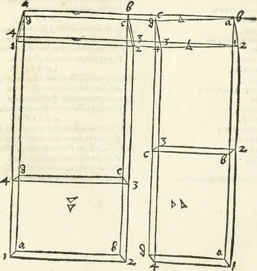 An illustration from Alberti Dvreri clarissimi pictoris et geometrae De symmetria partium humanorum corporum libri quatuor : è germanica lingua in latinam versi, 1557, leaf 242