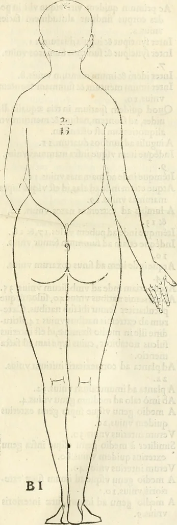 An illustration from Alberti Dvreri clarissimi pictoris et geometrae De symmetria partium humanorum corporum libri quatuor : è germanica lingua in latinam versi, 1557, leaf 26