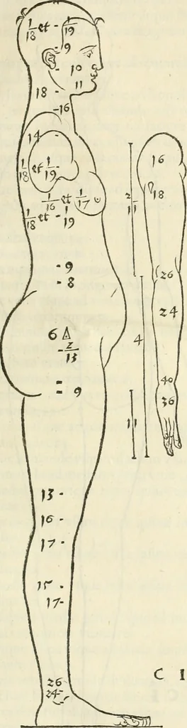 An illustration from Alberti Dvreri clarissimi pictoris et geometrae De symmetria partium humanorum corporum libri quatuor : è germanica lingua in latinam versi, 1557, leaf 32
