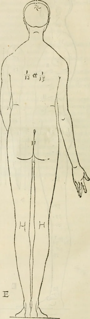 An illustration from Alberti Dvreri clarissimi pictoris et geometrae De symmetria partium humanorum corporum libri quatuor : è germanica lingua in latinam versi, 1557, leaf 45