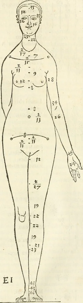 An illustration from Alberti Dvreri clarissimi pictoris et geometrae De symmetria partium humanorum corporum libri quatuor : è germanica lingua in latinam versi, 1557, leaf 48