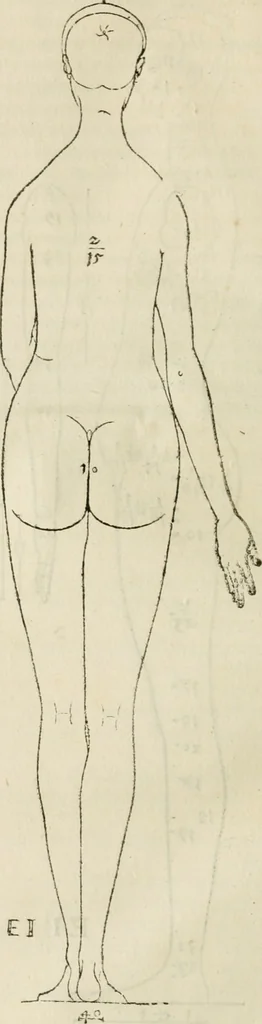 An illustration from Alberti Dvreri clarissimi pictoris et geometrae De symmetria partium humanorum corporum libri quatuor : è germanica lingua in latinam versi, 1557, leaf 49